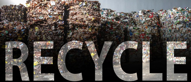 Contacto Circulo Limpio